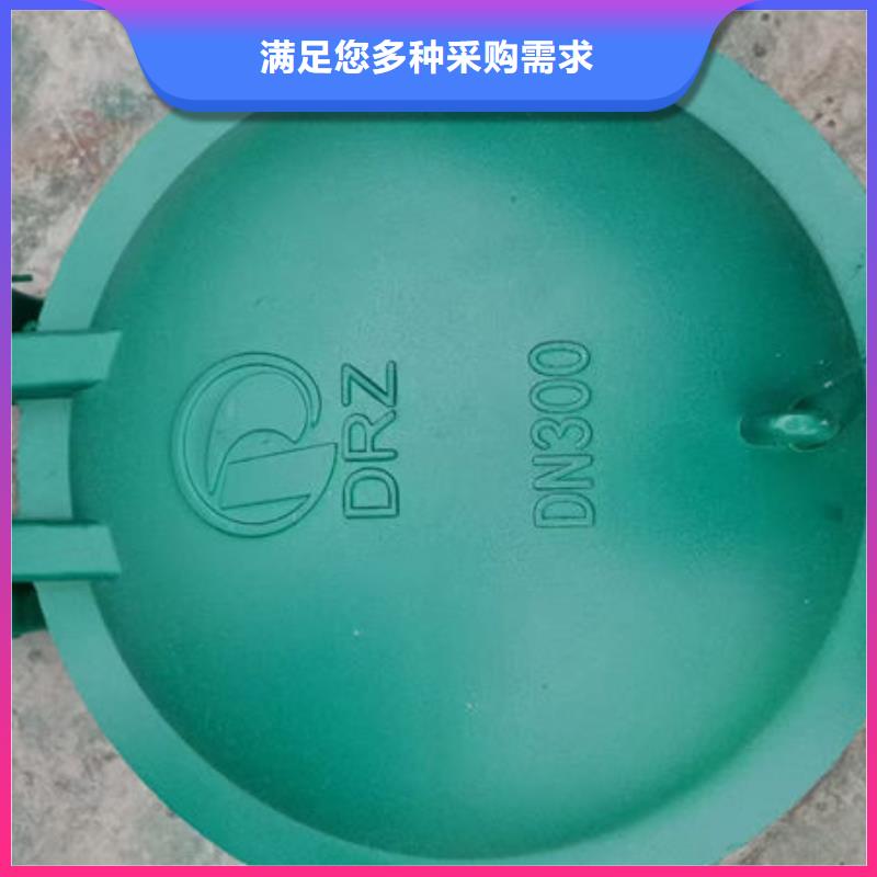 拍门钢拍门一个起售