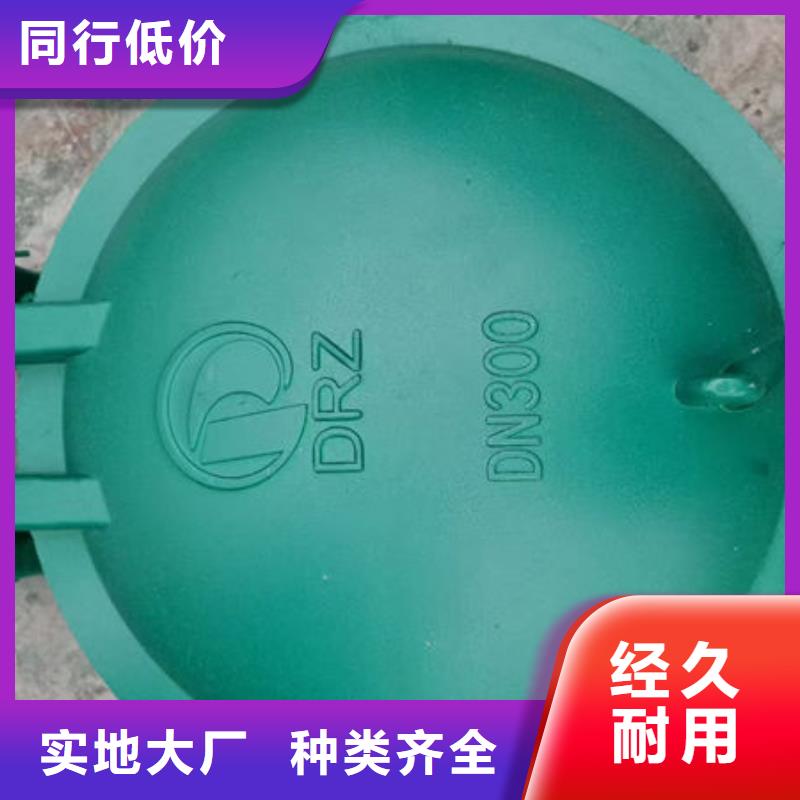 拍门复合材料拍门满足客户所需
