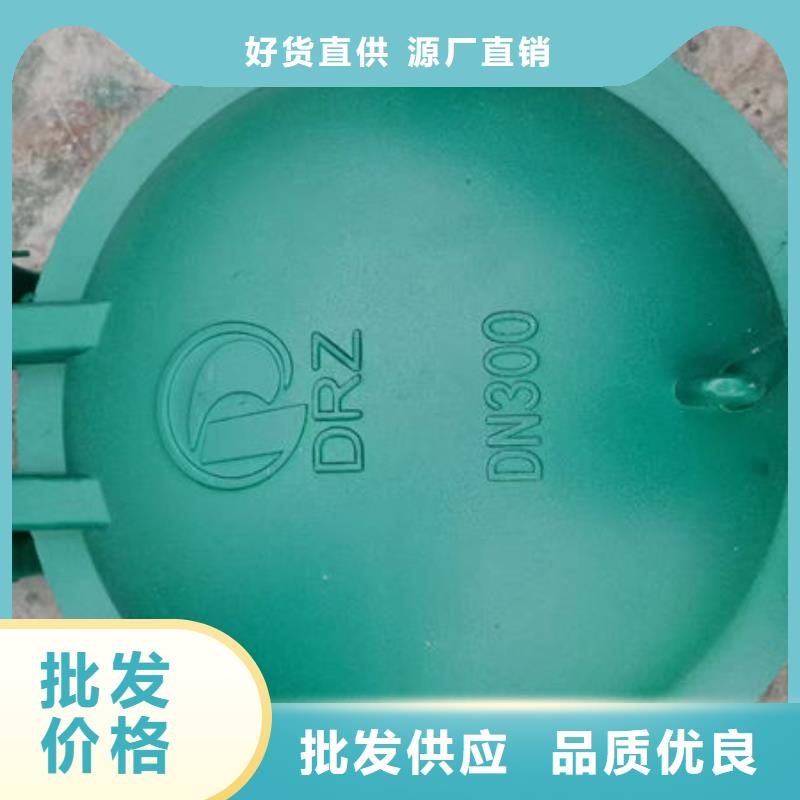 拍门,钢拍门价格实惠