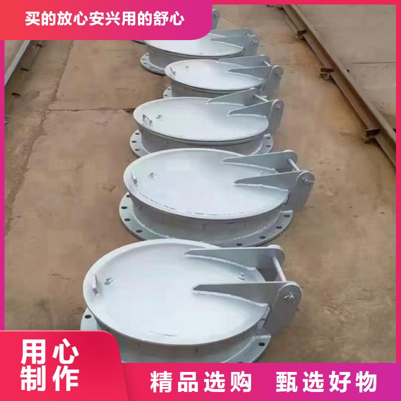 拍门球墨铸铁拍门分类和特点