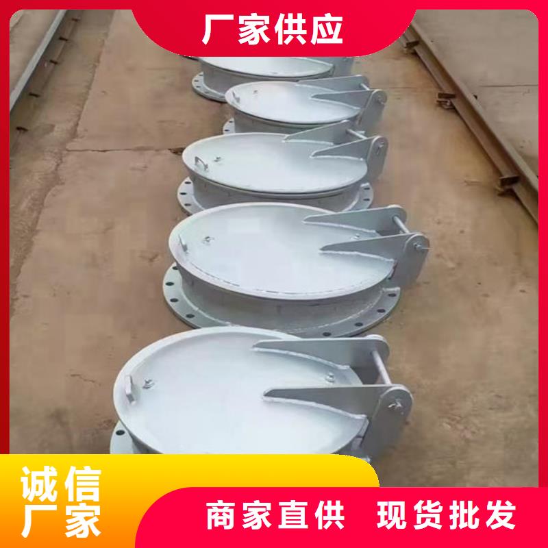 拍门钢制拍门客户信赖的厂家