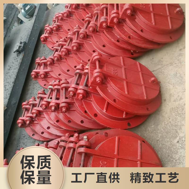 拍门不锈钢拍门专业生产N年