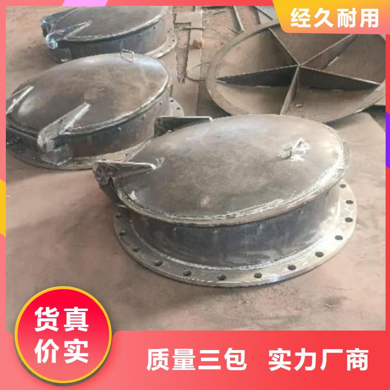 拍门不锈钢拍门设计制造销售服务一体
