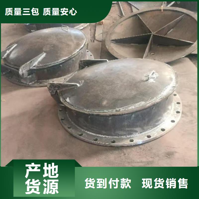 拍门-球墨铸铁拍门实力派厂家