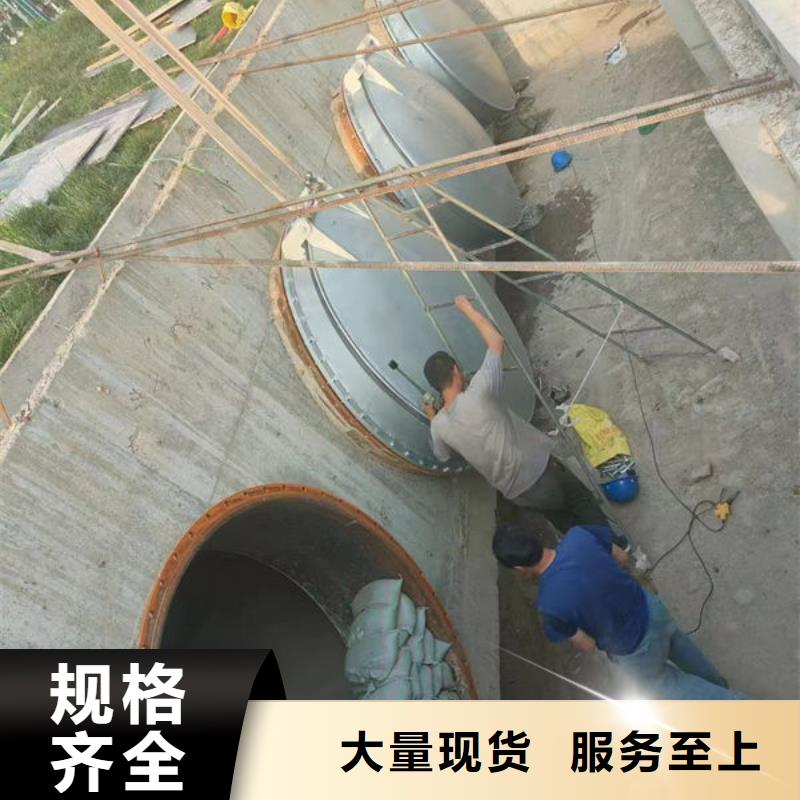 拍门铸铁拍门优选厂家