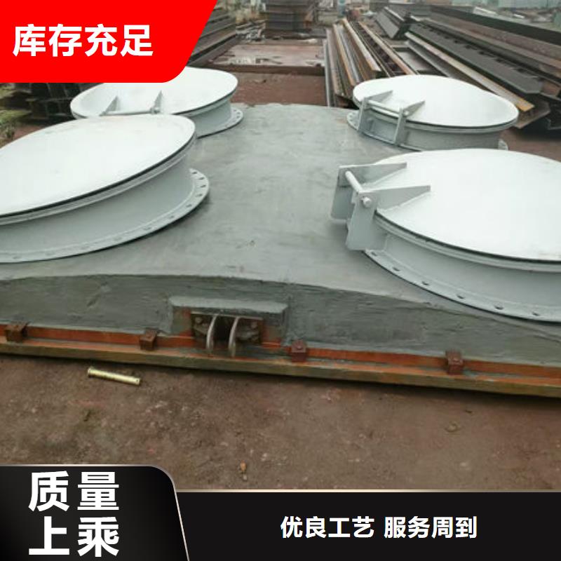 拍门-不锈钢拍门种类丰富