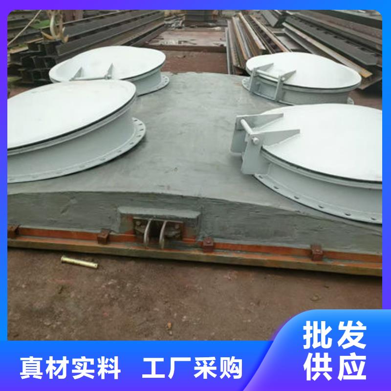 拍门防倒灌拍门本地配送