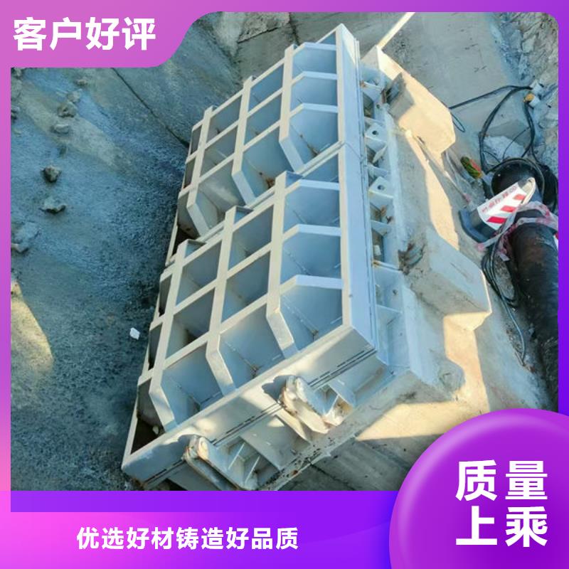 拍门球墨铸铁拍门性价比高