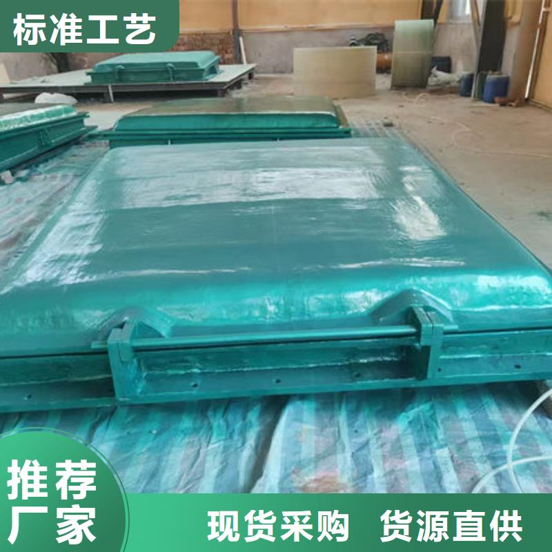 拍门球墨铸铁拍门分类和特点