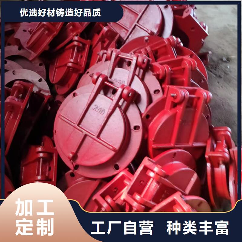 拍门球墨铸铁拍门分类和特点