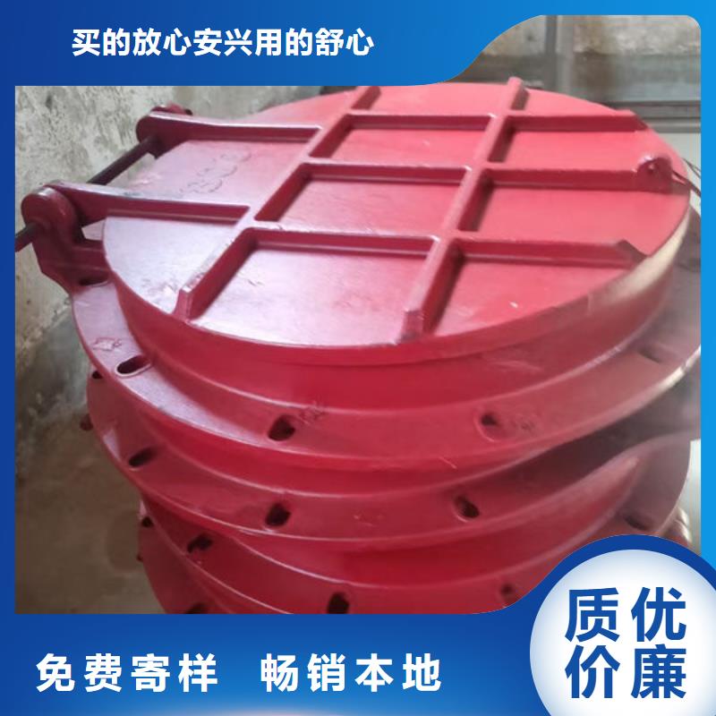 拍门-球墨铸铁拍门实力派厂家