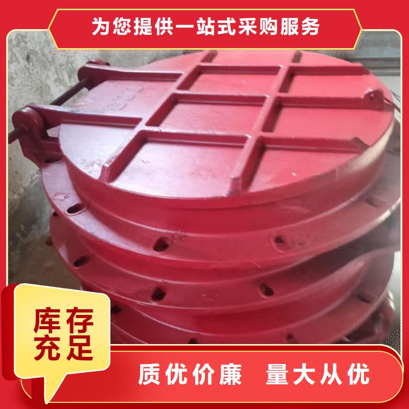 拍门钢拍门实力见证