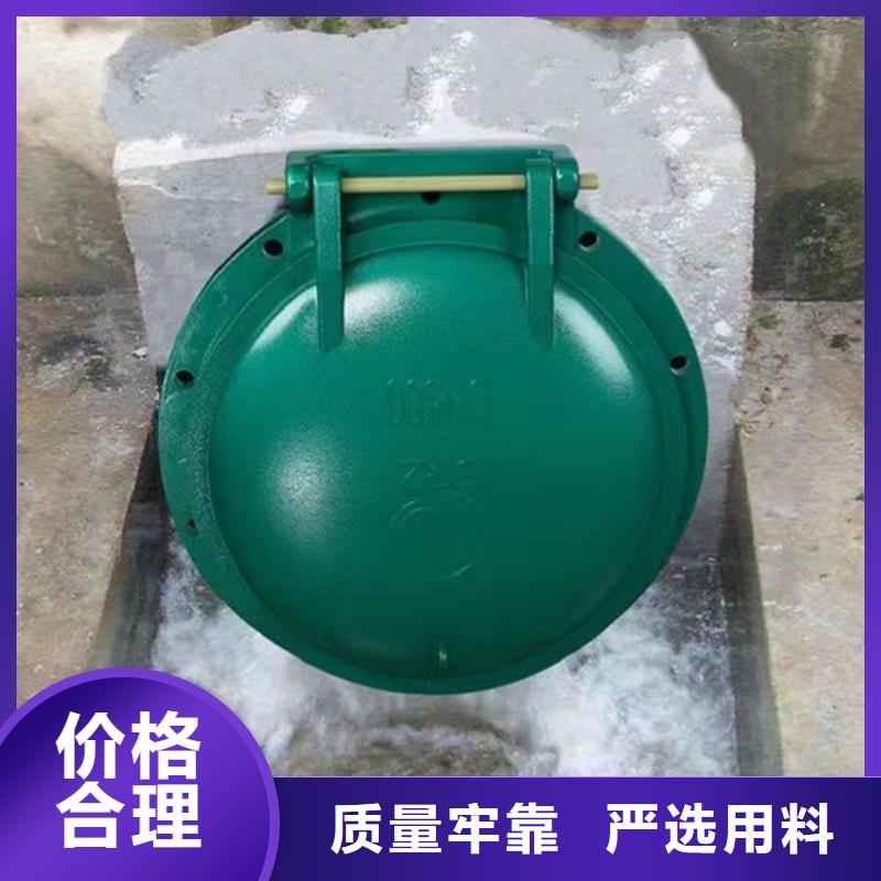拍门钢制拍门多年行业经验