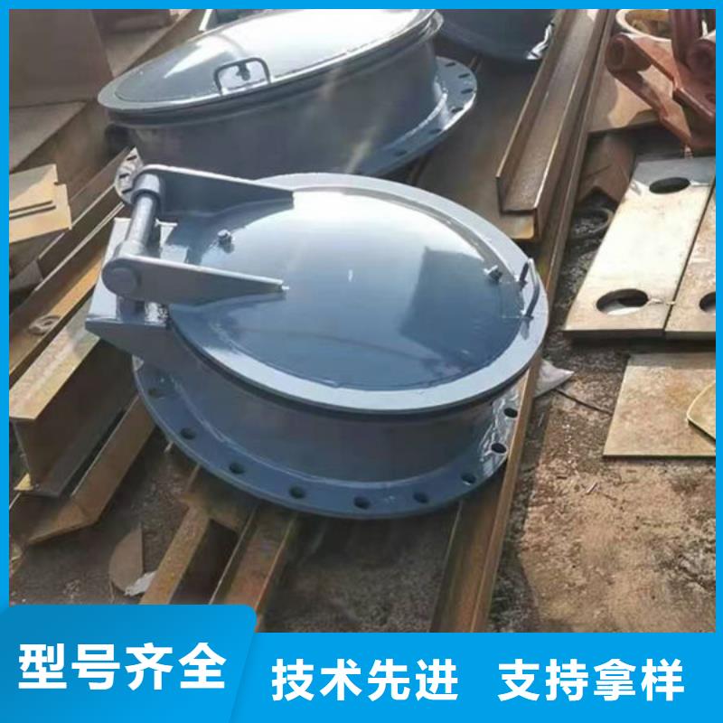拍门钢拍门价格低