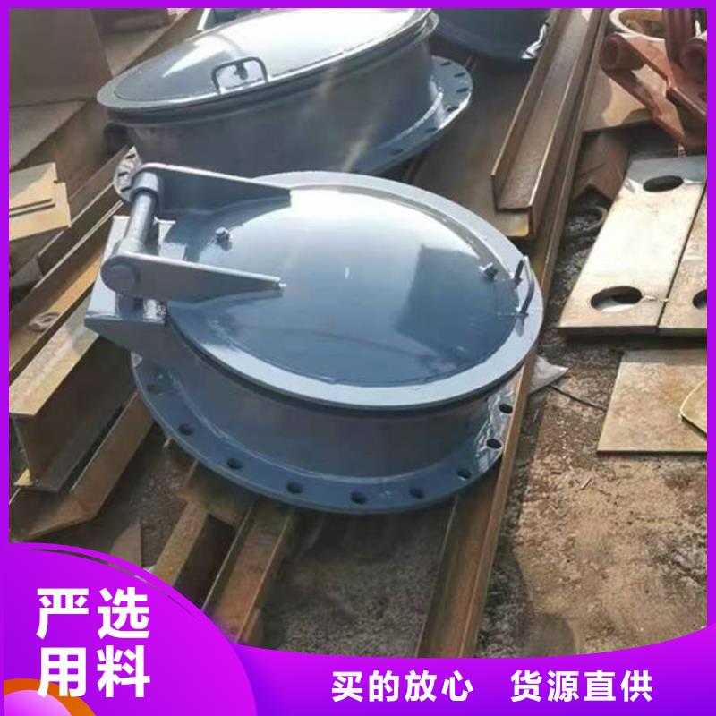 拍门-不锈钢拍门种类丰富