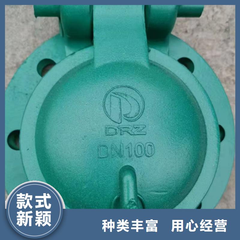 拍门不锈钢拍门优质原料