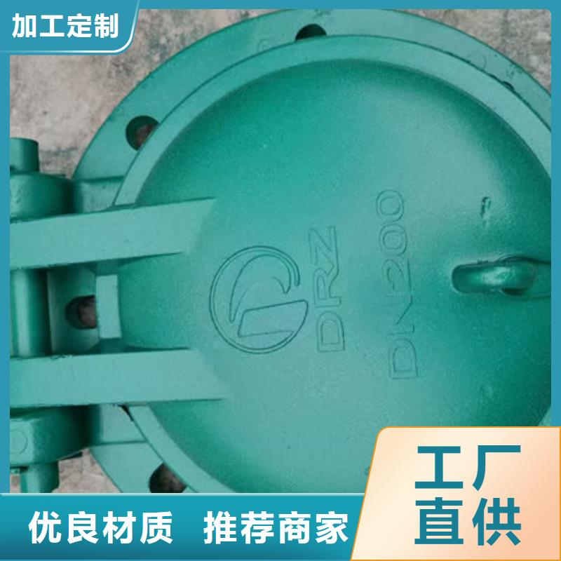 拍门防倒灌拍门源厂定制