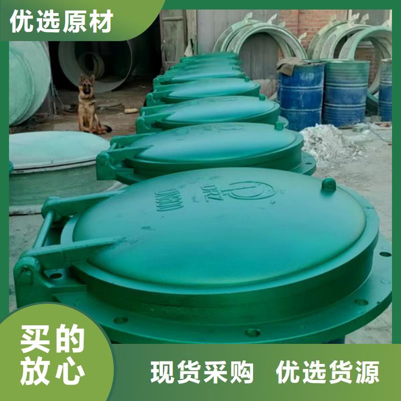 拍门球墨铸铁拍门分类和特点