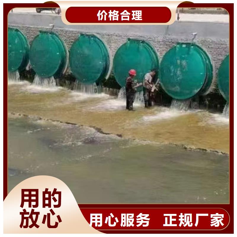 拍门,防倒灌拍门货源直供