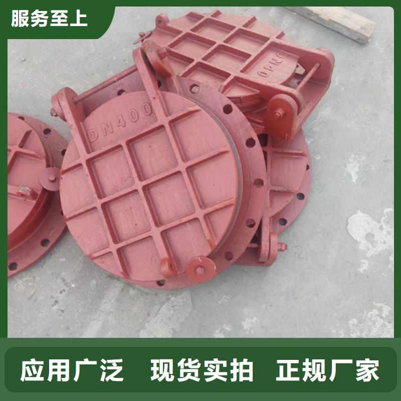 拍门球墨铸铁拍门诚信经营质量保证