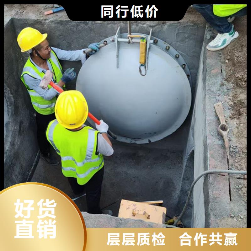 拍门-防倒灌拍门按需设计