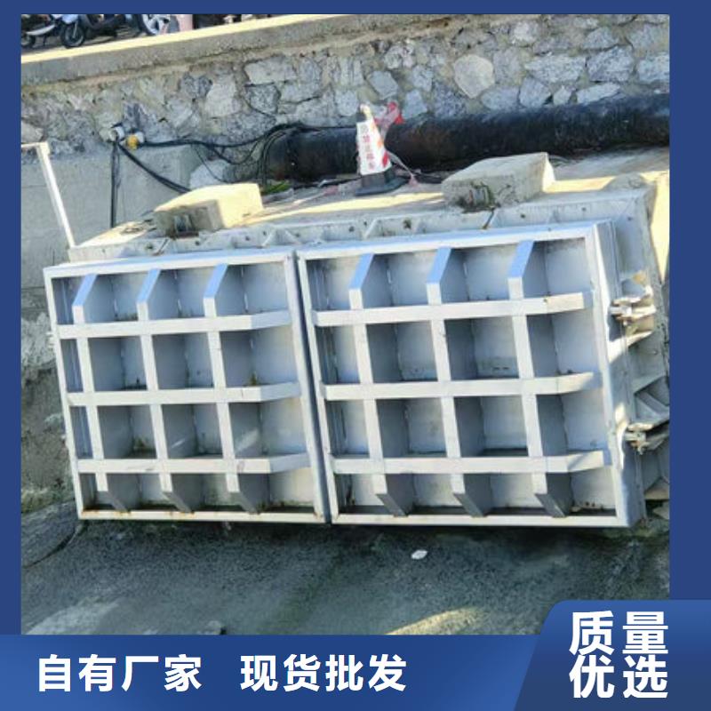 拍门铸铁拍门联系厂家