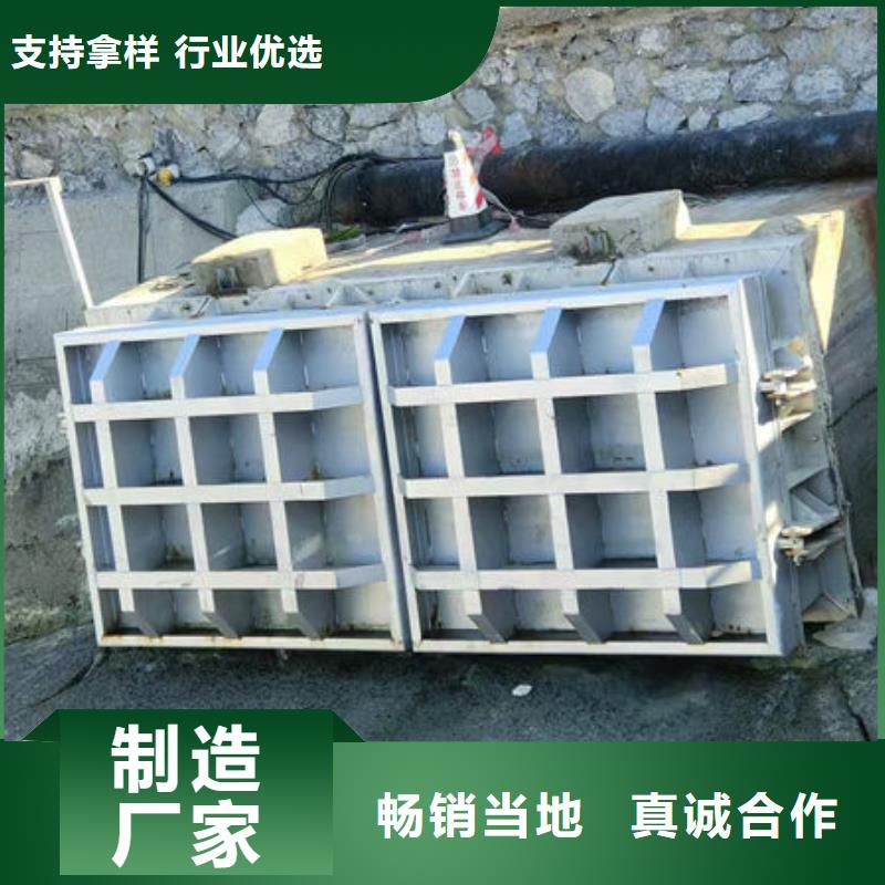 拍门-防倒灌拍门按需设计