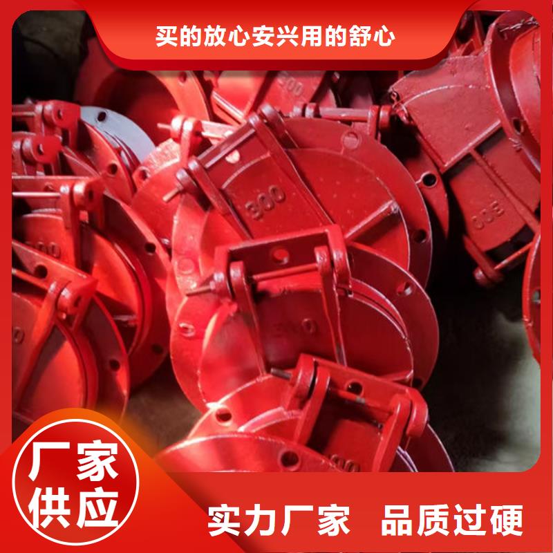 拍门-防倒灌拍门按需设计