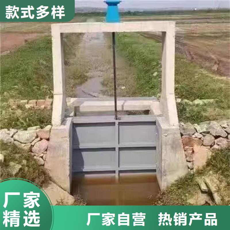 不锈钢闸门不锈钢闸门品种全