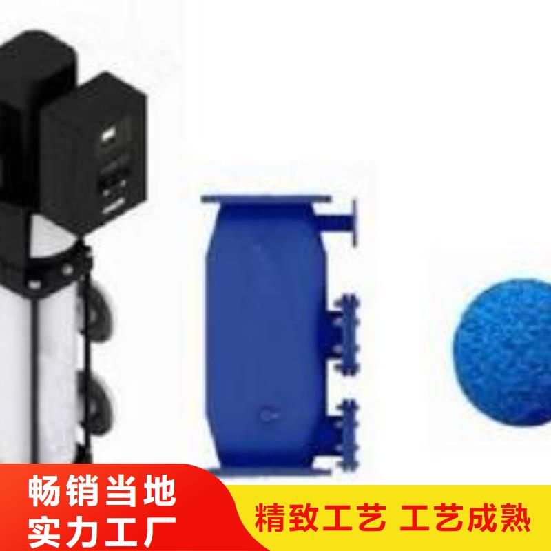 【冷凝器胶球清洗装置】旁流水处理器技术先进