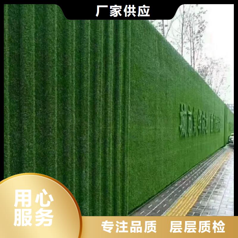 围挡草坪-人工草坪围挡海量现货直销