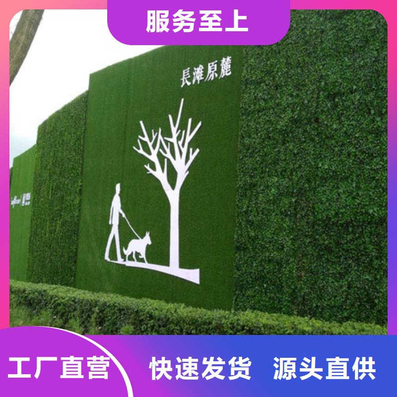 草坪围挡,围挡草坪应用范围广泛