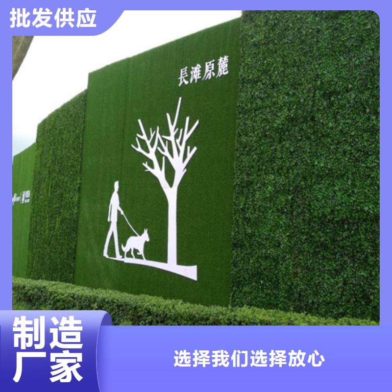 草坪围挡人工草坪围挡优良工艺