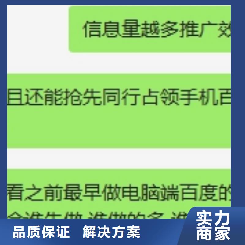 手机百度移动端推广2025专业的团队