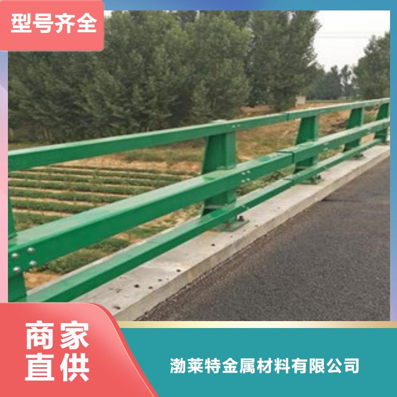 桥梁护栏质量可靠当地辰铭实体厂家