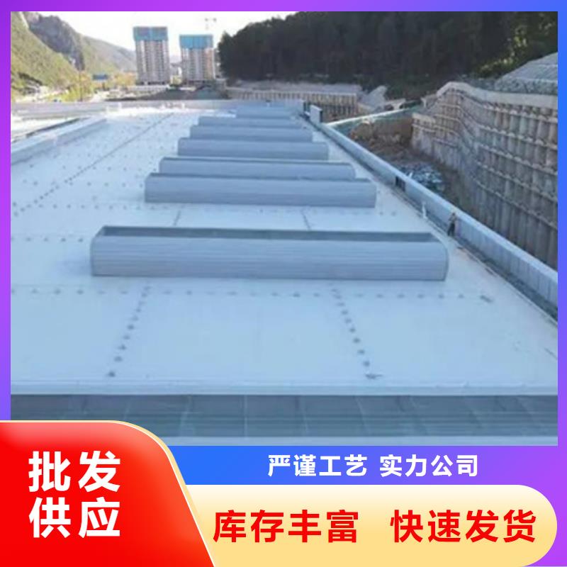 TC1B-4530n启闭式通风天窗-信守承诺