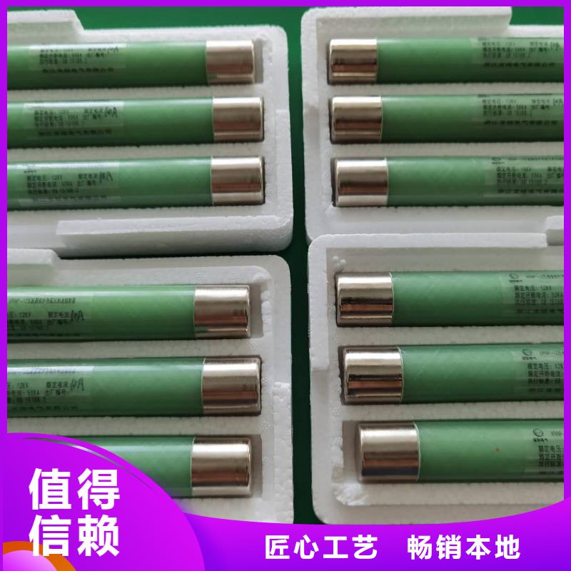 高压熔断器XRNP-10KV高压限流熔断器精心推荐