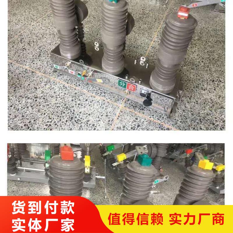 真空断路器_【高压限流熔断器】专业生产团队