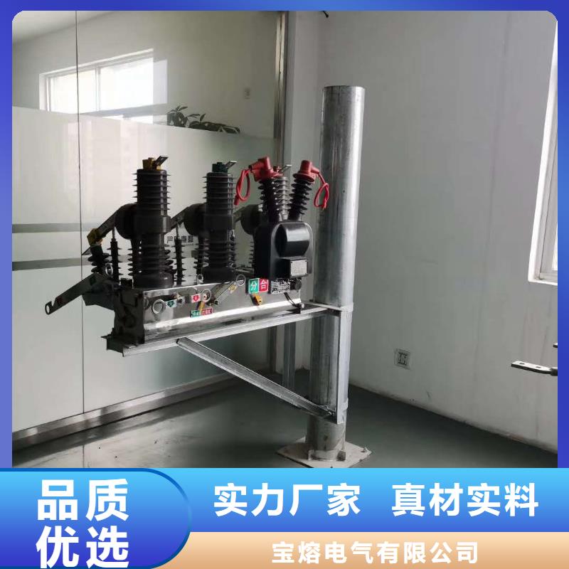 真空断路器【高压限流熔断器】高标准高品质