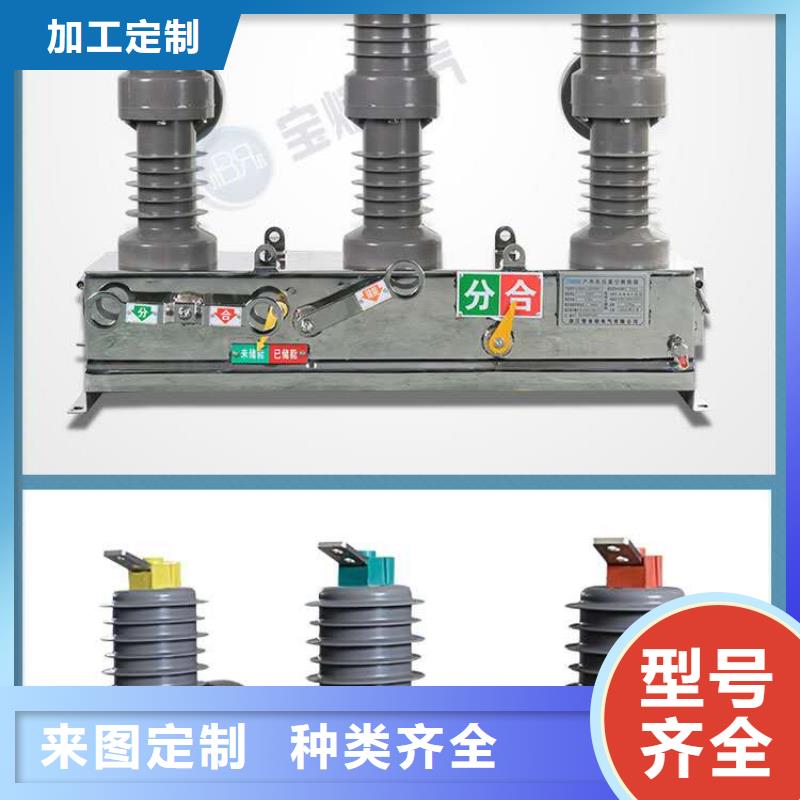 真空断路器_FKN12-12/630A品质不将就