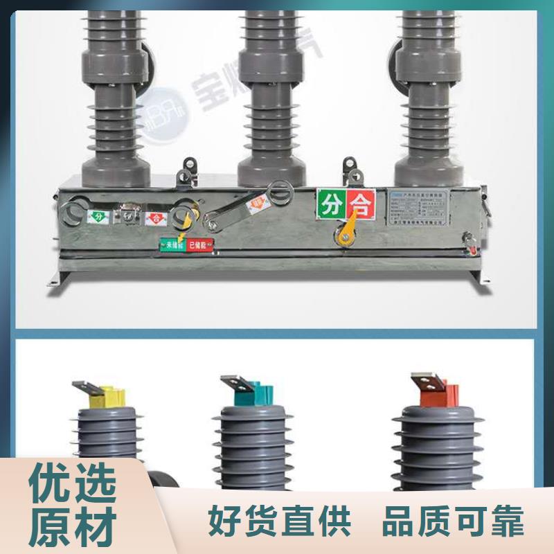 真空断路器高压保险丝保险管符合国家标准