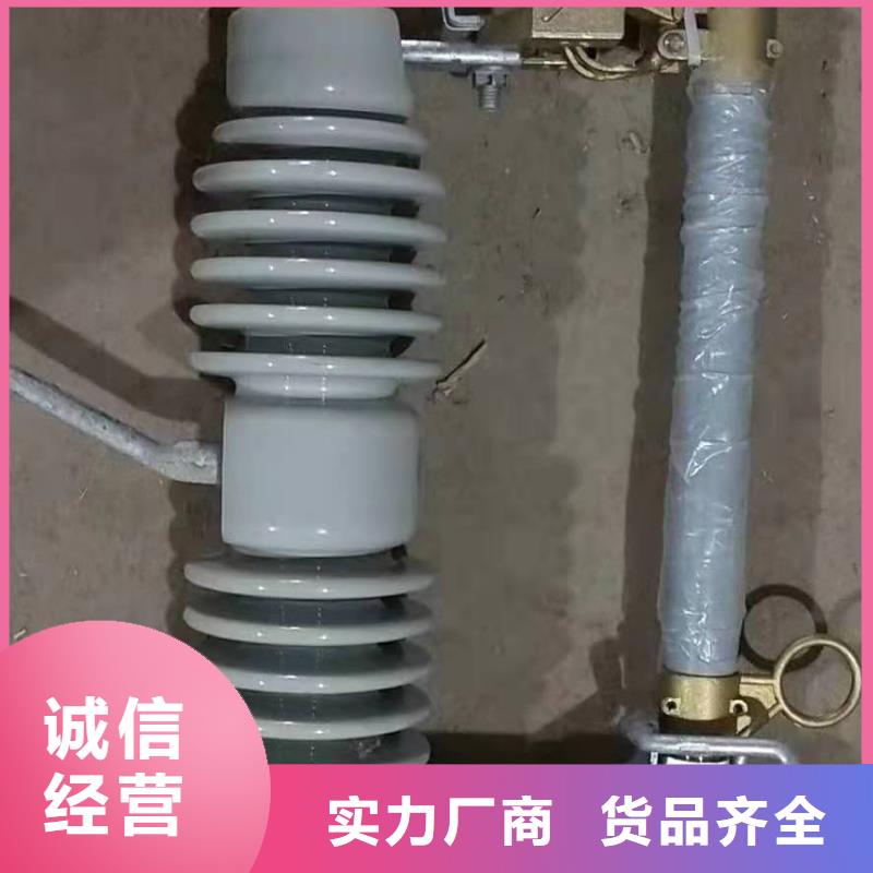 跌落式熔断器XRNP-10KV高压限流熔断器现货齐全售后无忧