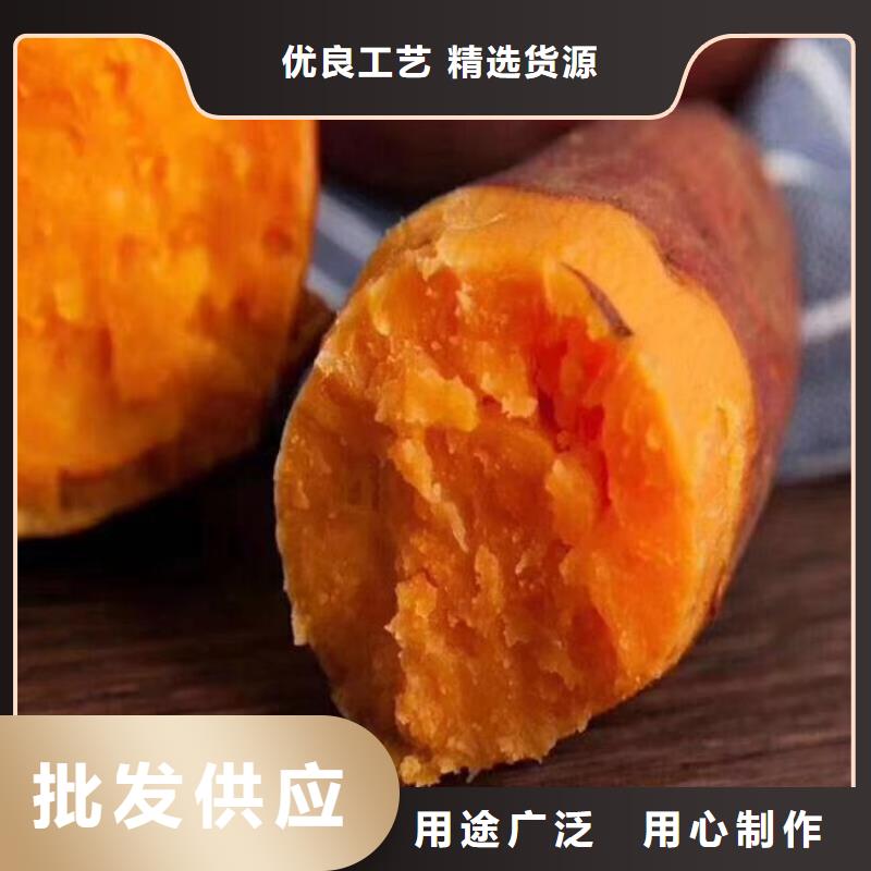 【紫薯苗】羽衣甘蓝粉厂家直营