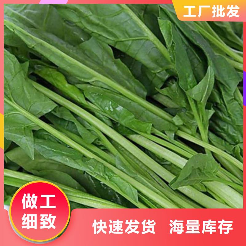 菠菜粉生产厂家