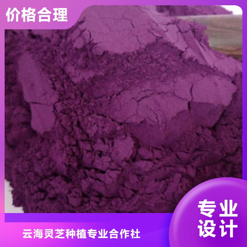 直供【云海】紫薯粉,灵芝孢子粉批发畅销当地