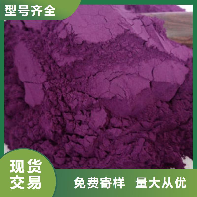 厂家品控严格{云海}紫薯粉灵芝菌种源厂直接供货