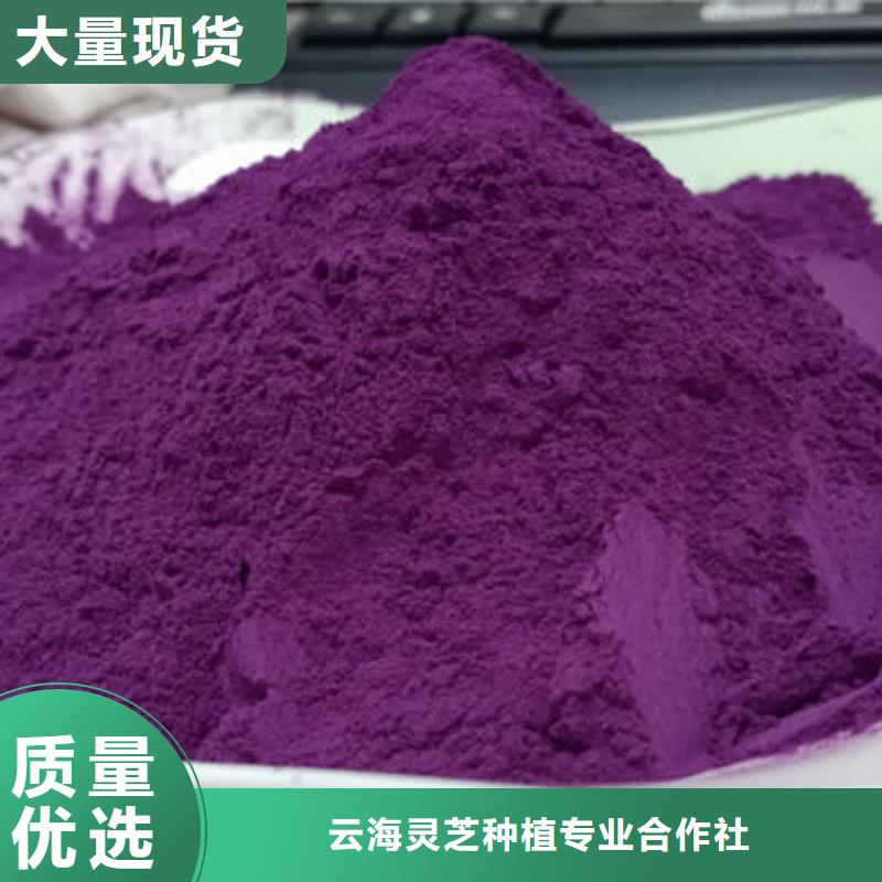 物美价优(云海)紫薯粉灵芝孢子粉保质保量