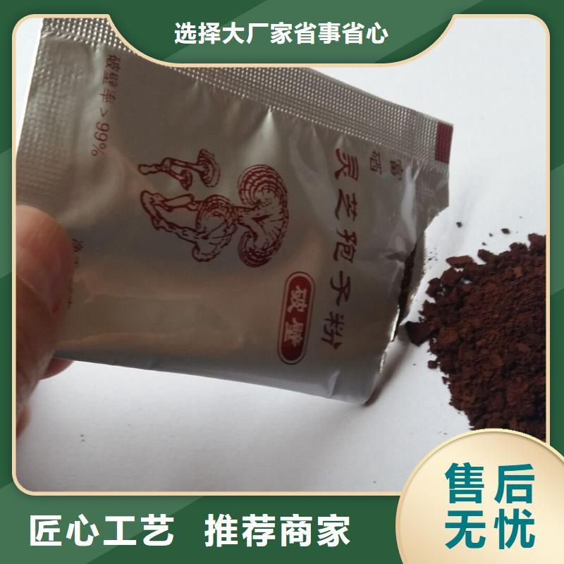 天然灵芝甄选厂家