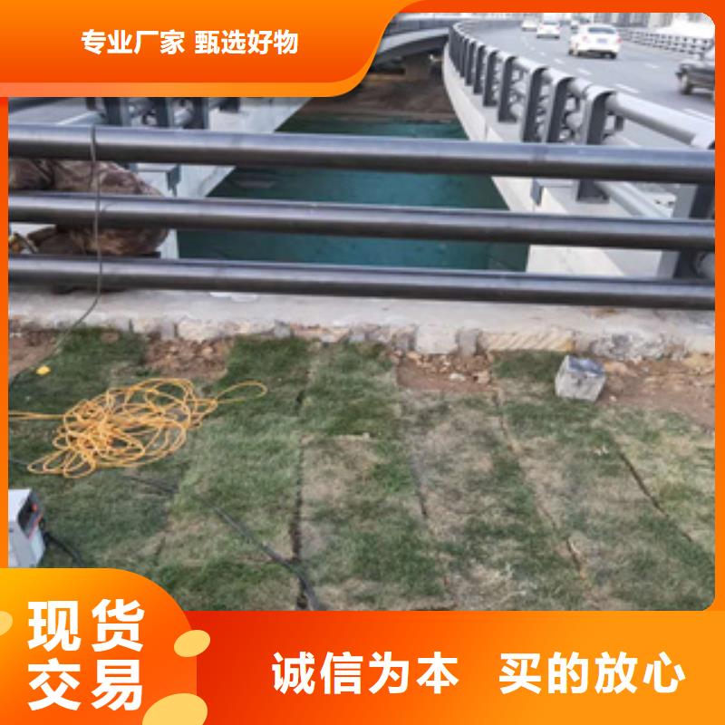 青海购买《展鸿》景观天桥栏杆使用寿命长久