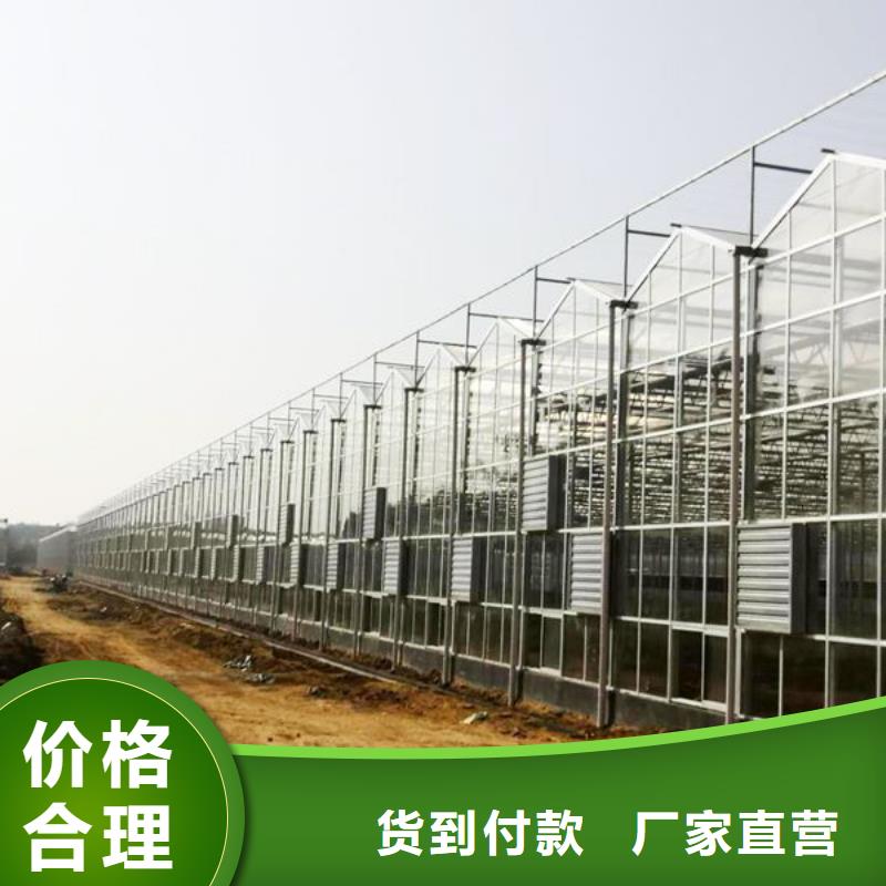 连江多跨度骨架钢管设计2024